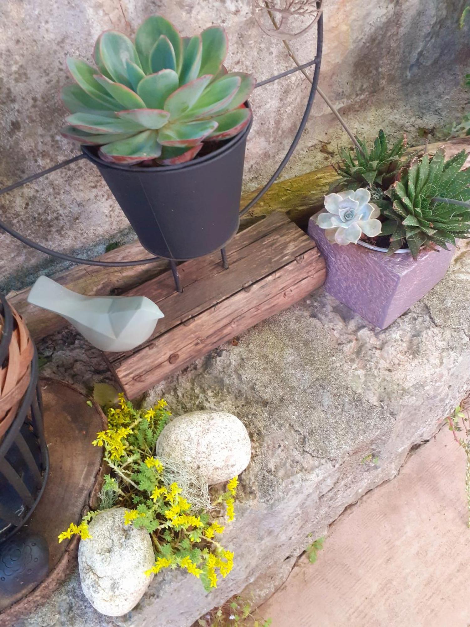 Sous Le Tilleul A Ruoms Exteriör bild